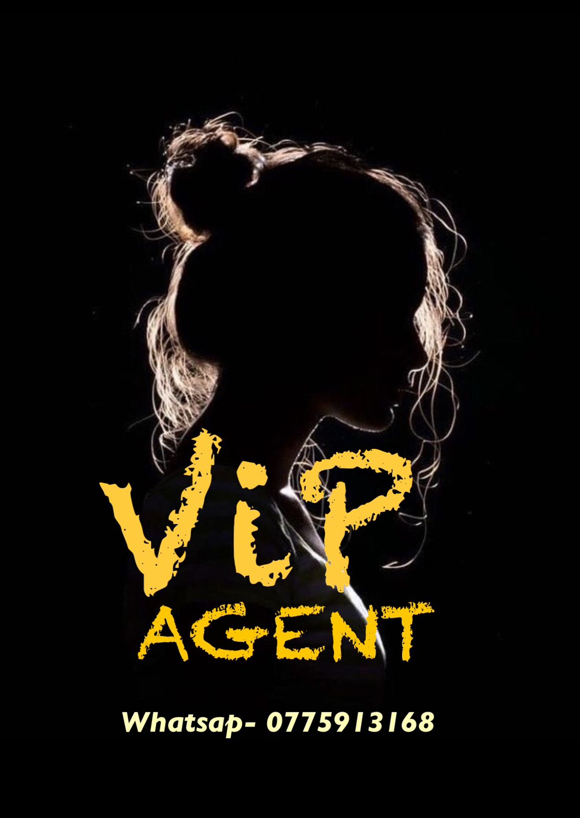 Speed and quick service 24hrs online VIP AGENT