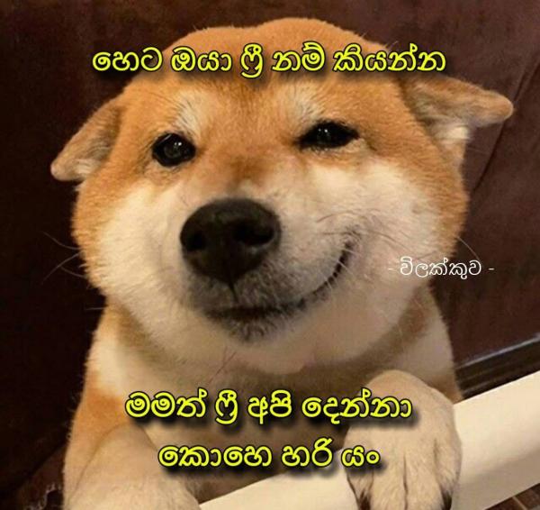 boys-personal photo of Lanka Ads