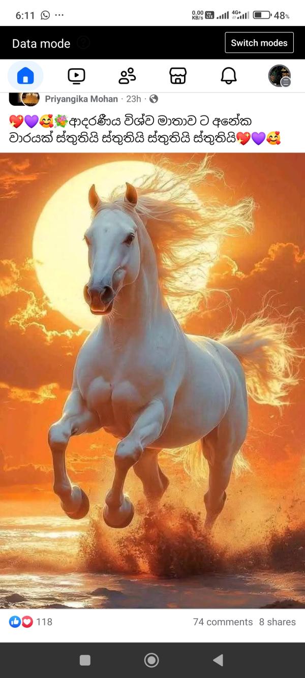 lanka-ad photo of Lanka Ads