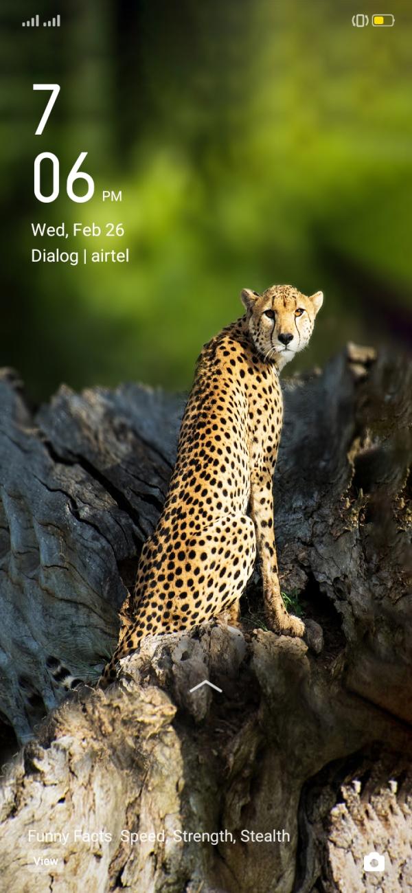 spa photo of Lanka Ads