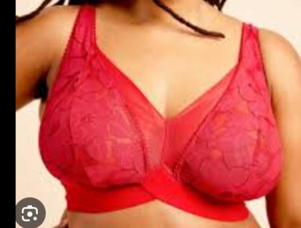 live-cam photo of Lanka Ads