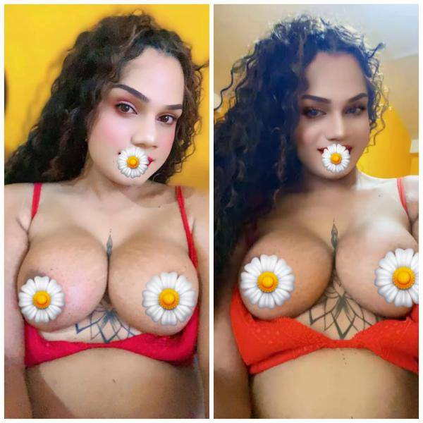 live-cam photo of Lanka Ads