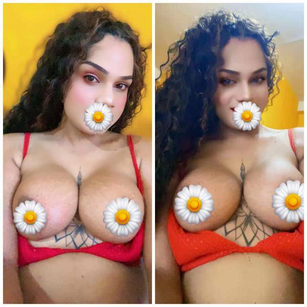 live-cam photo of Lanka Ads