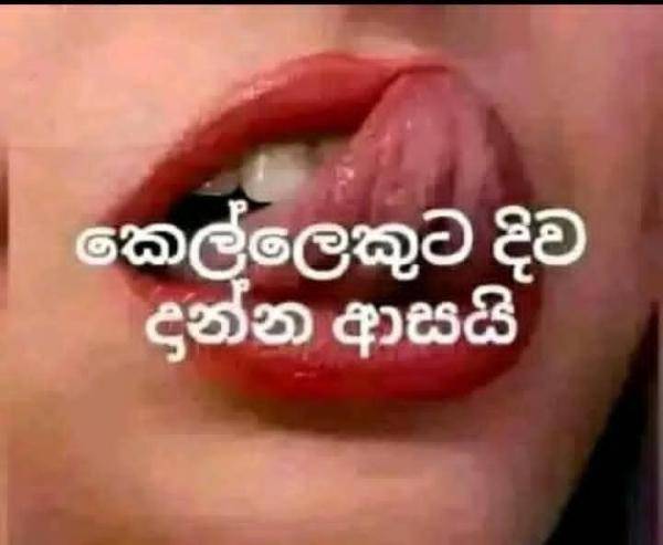 boys-personal photo of Lanka Ads